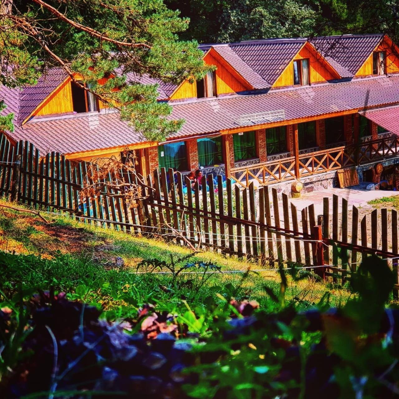 Hotel Eco House In Bakuriani Eksteriør bilde