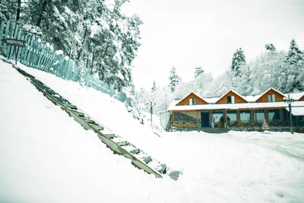 Hotel Eco House In Bakuriani Eksteriør bilde