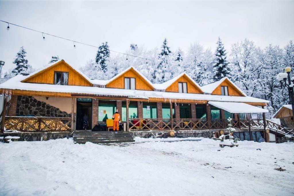 Hotel Eco House In Bakuriani Eksteriør bilde