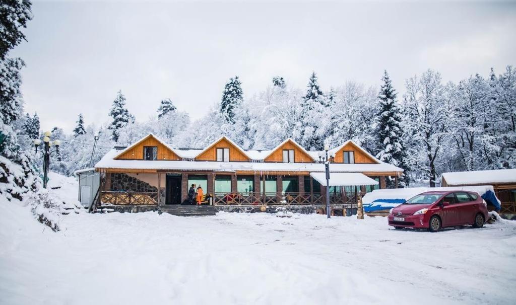 Hotel Eco House In Bakuriani Eksteriør bilde