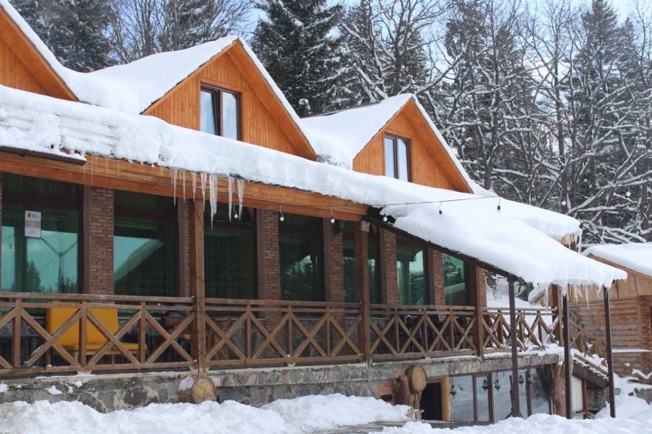 Hotel Eco House In Bakuriani Eksteriør bilde